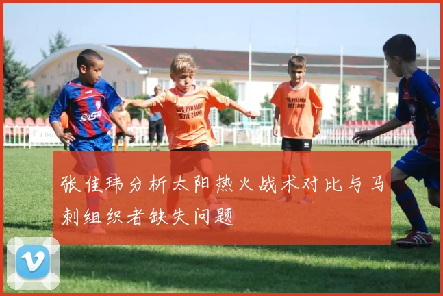 张佳玮分析太阳热火战术对比与马刺组织者缺失问题