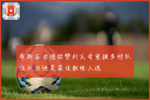 希斯菲尔德称赞科瓦奇重振多特队伍认为他是最佳教练人选