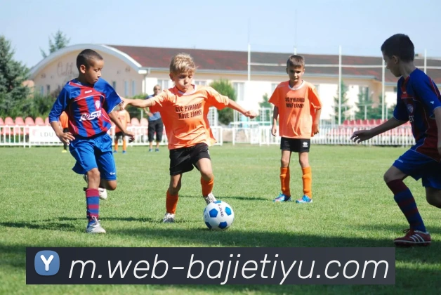 App Interface Preview